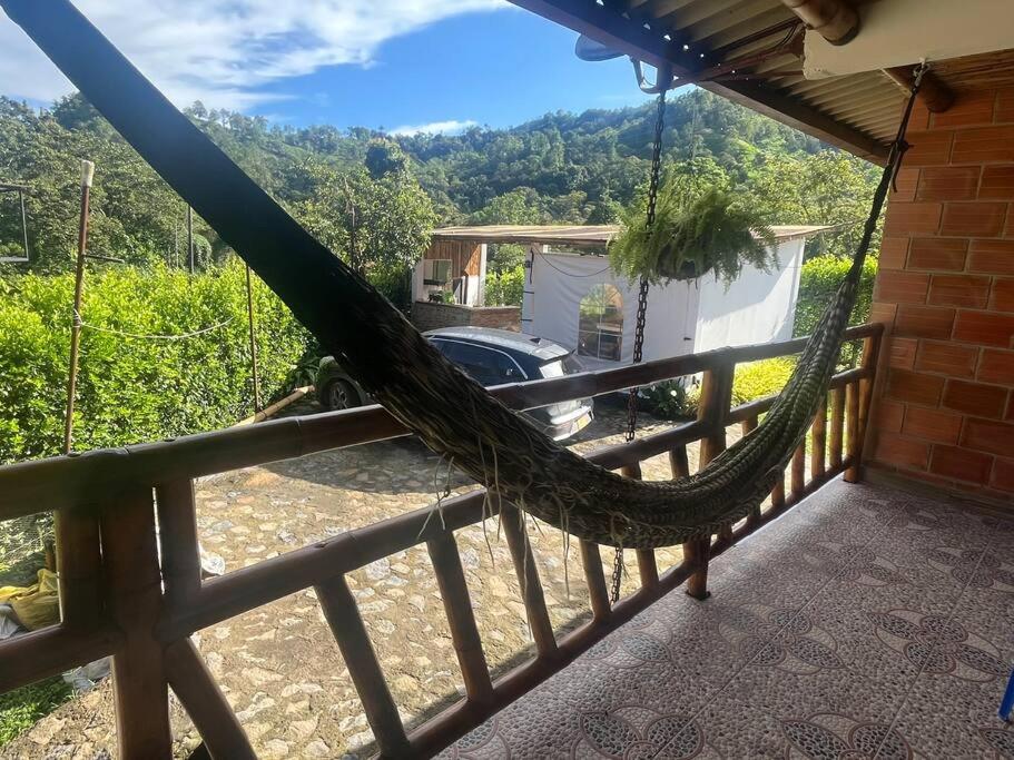 Finca Leito