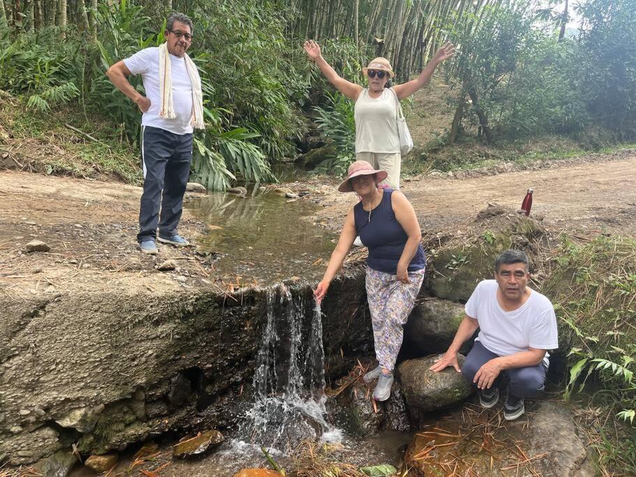 Finca Leito