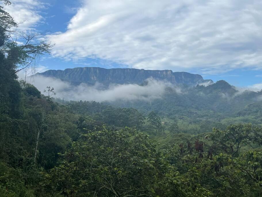 Finca Leito