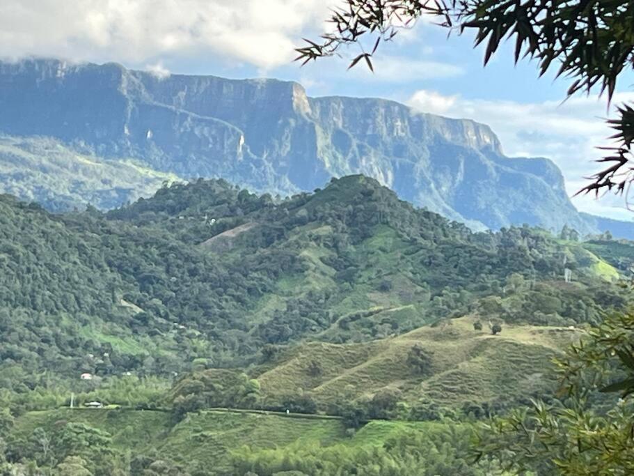 Finca Leito