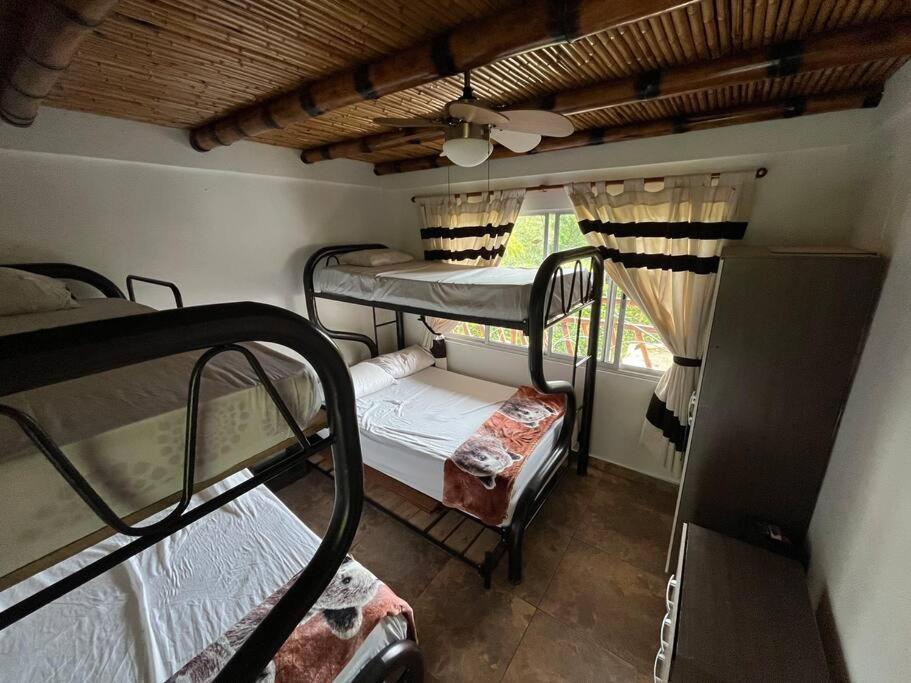 Finca Leito