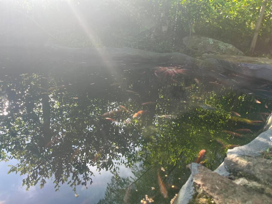Finca Leito