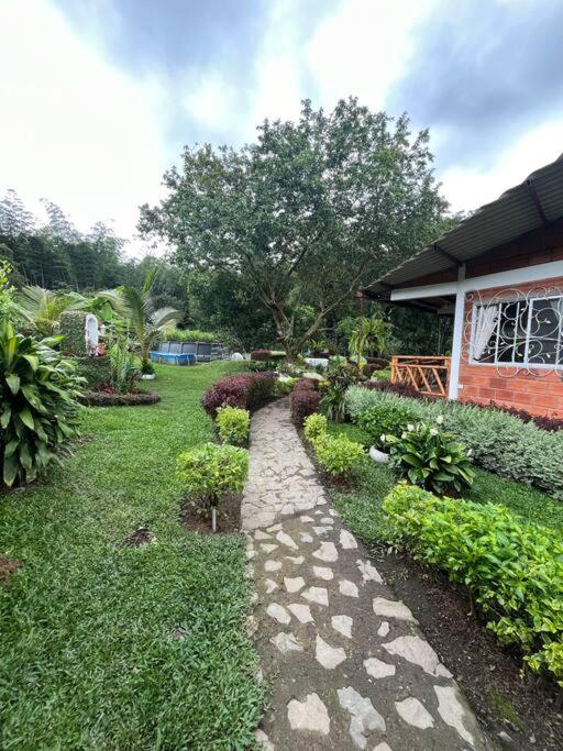 Finca Leito