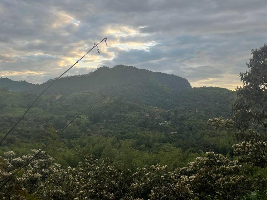 Finca Leito