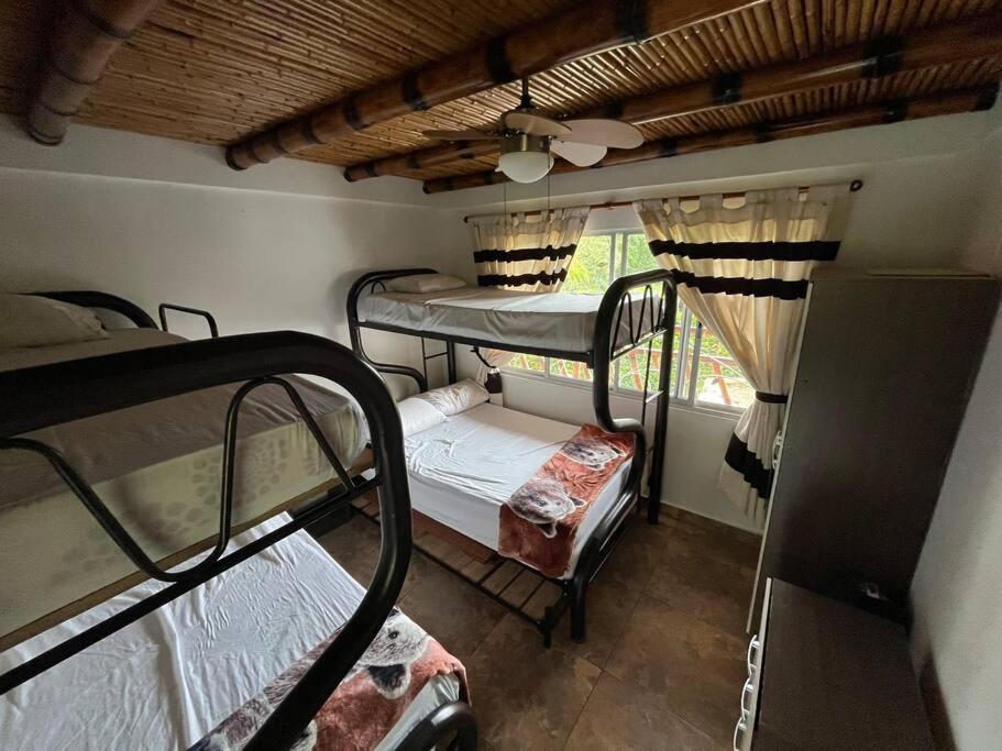 Finca Leito