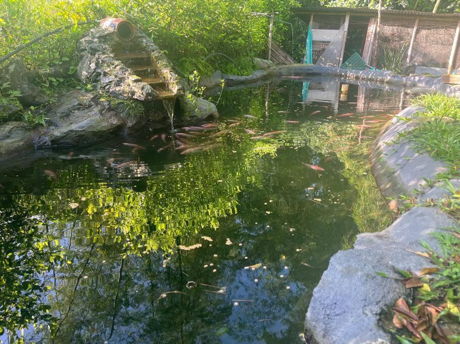 Finca Leito