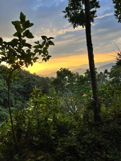 Finca Leito