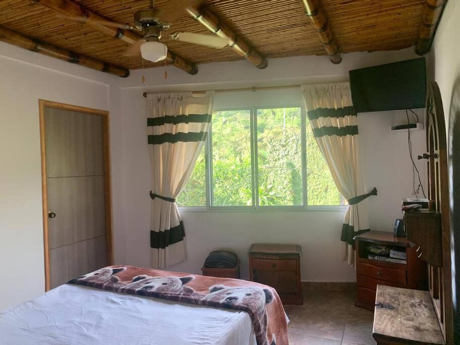 Finca Leito