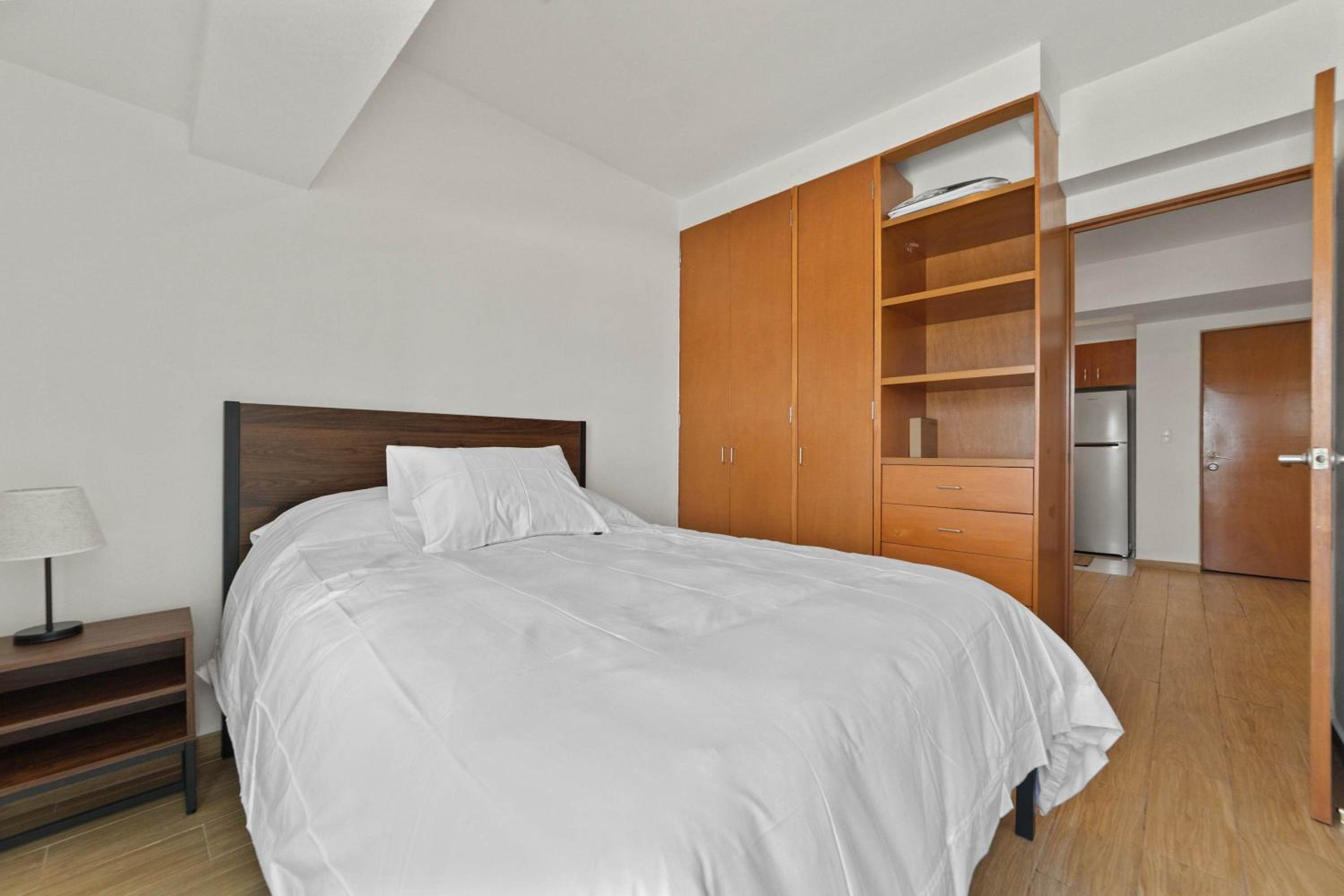 Modern Apartment in the Heart of Mexico City photo 2
