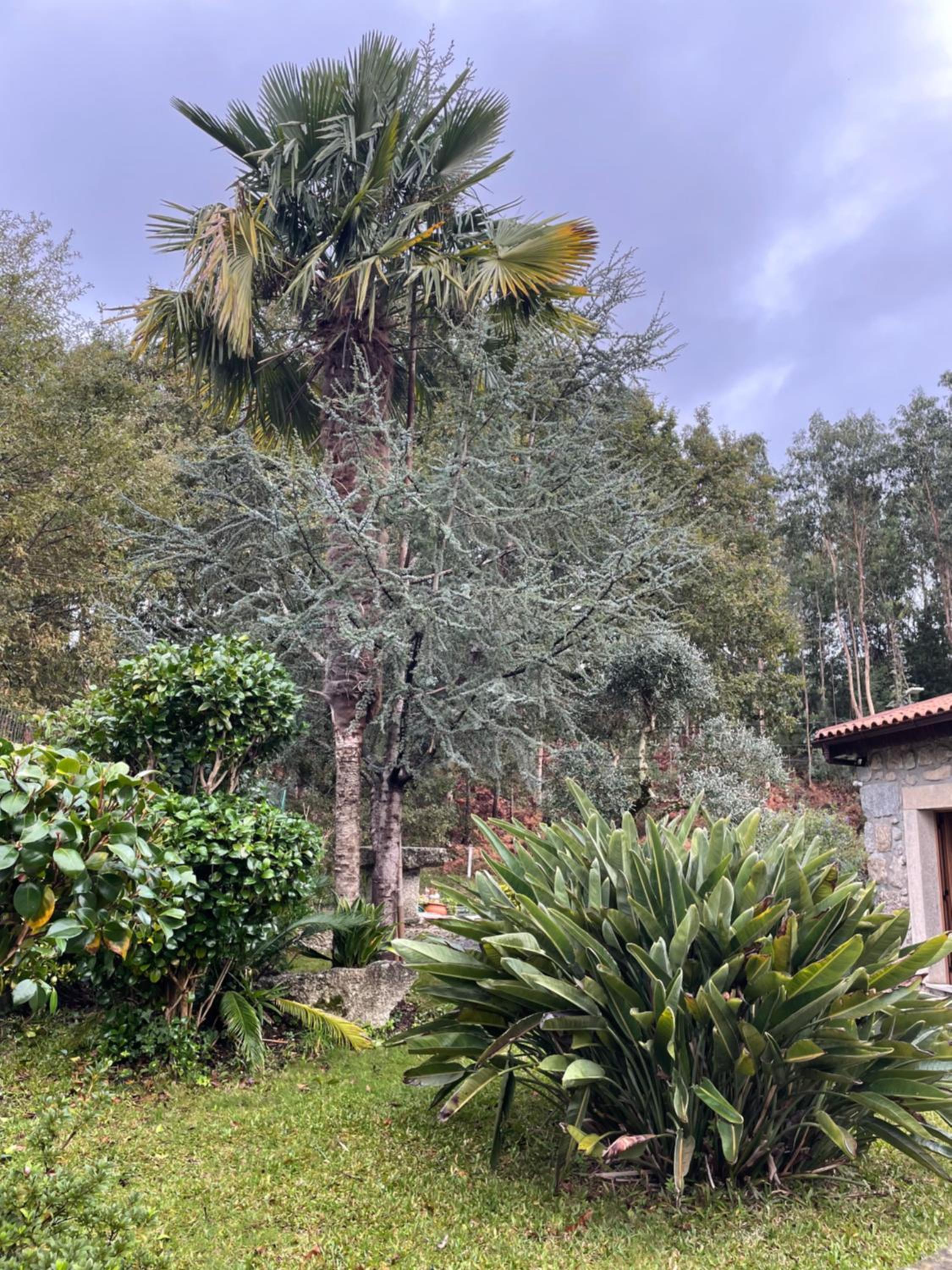 Casa do Serrador view 2