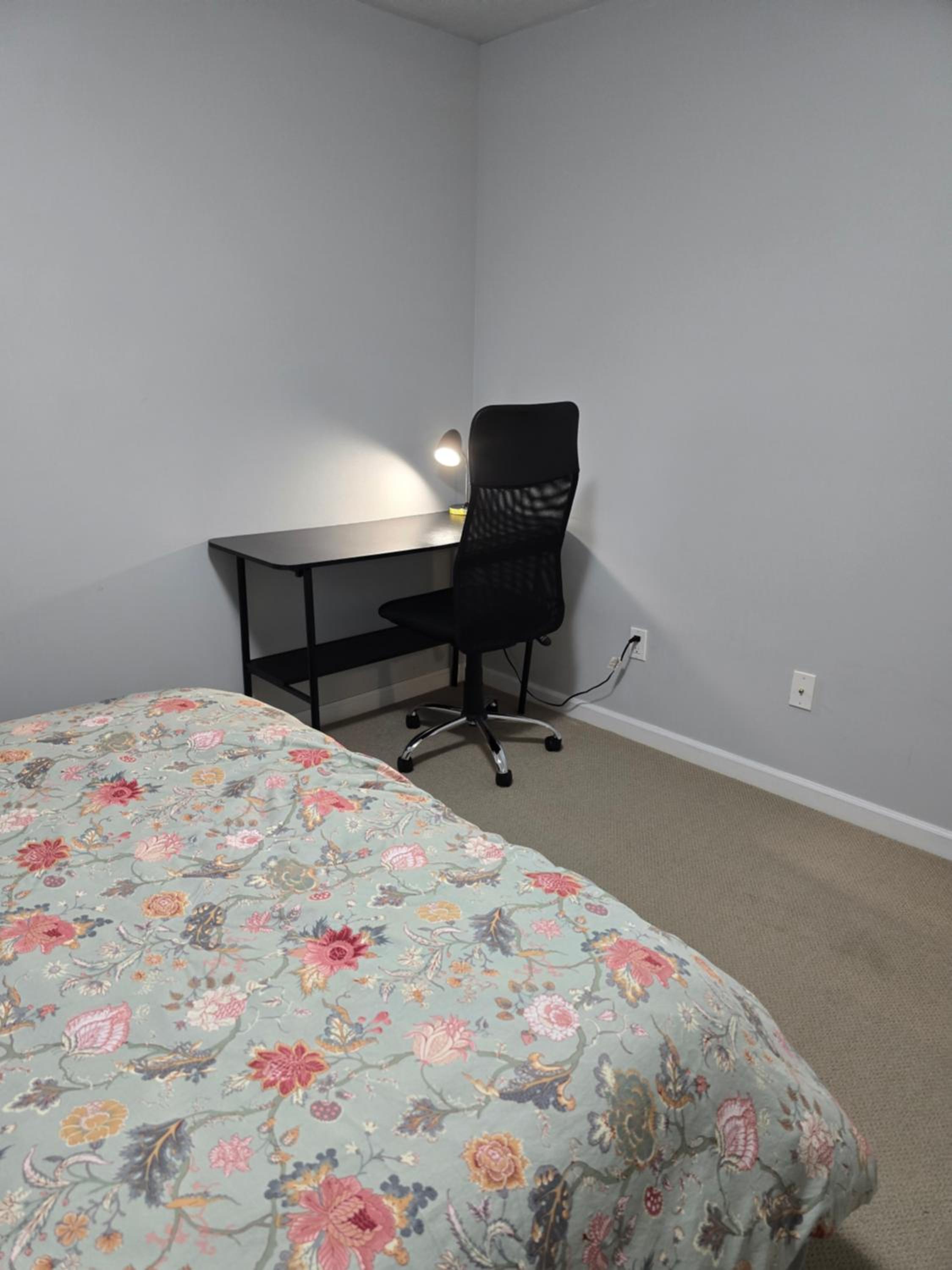 Private basement suite