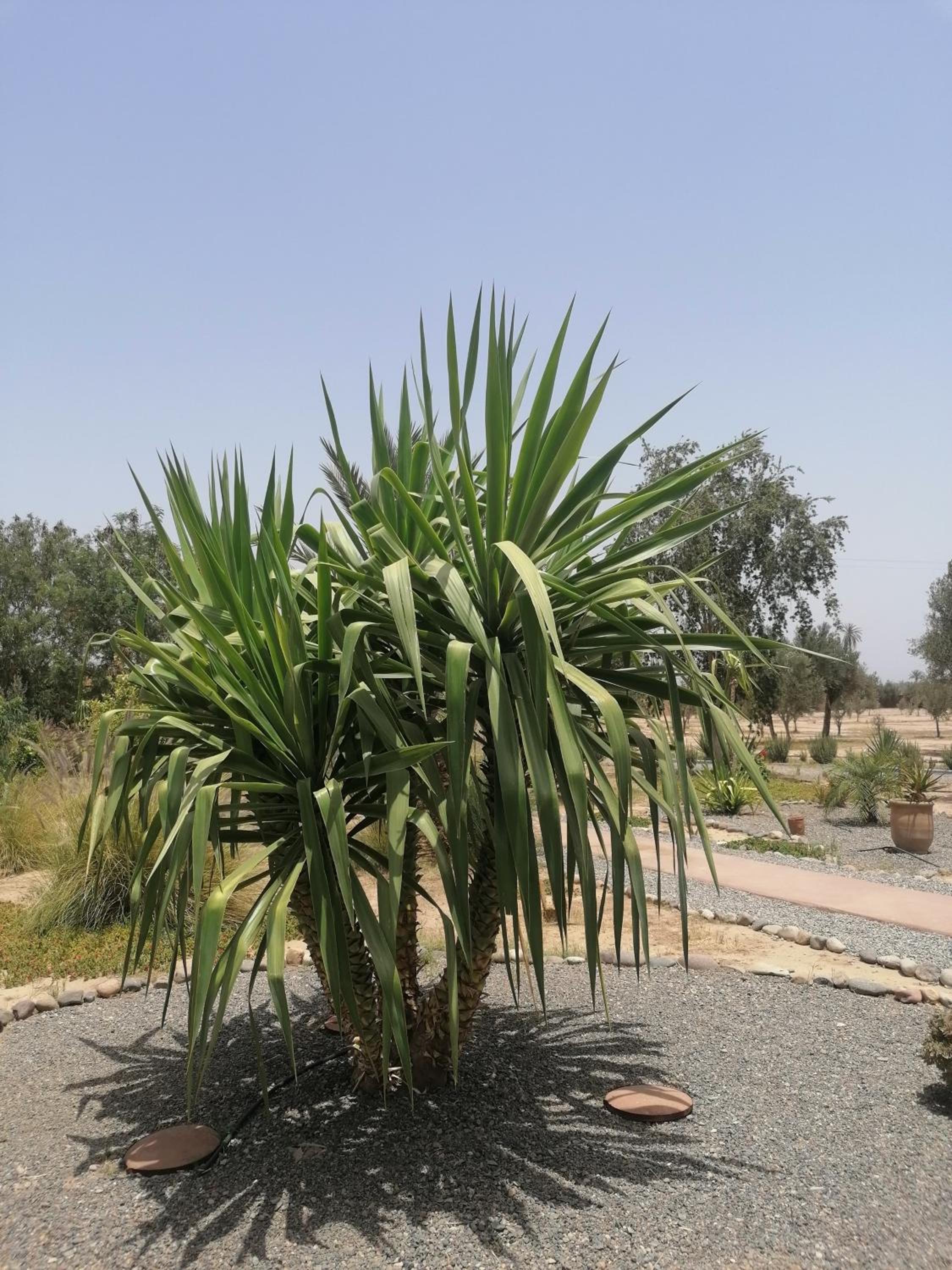 Les Jardins Bleus view 5
