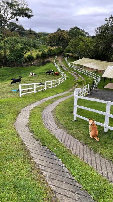 Finca San Cipriano - Filandia
