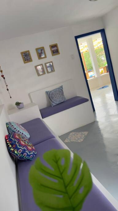 Finca San Cipriano - Filandia