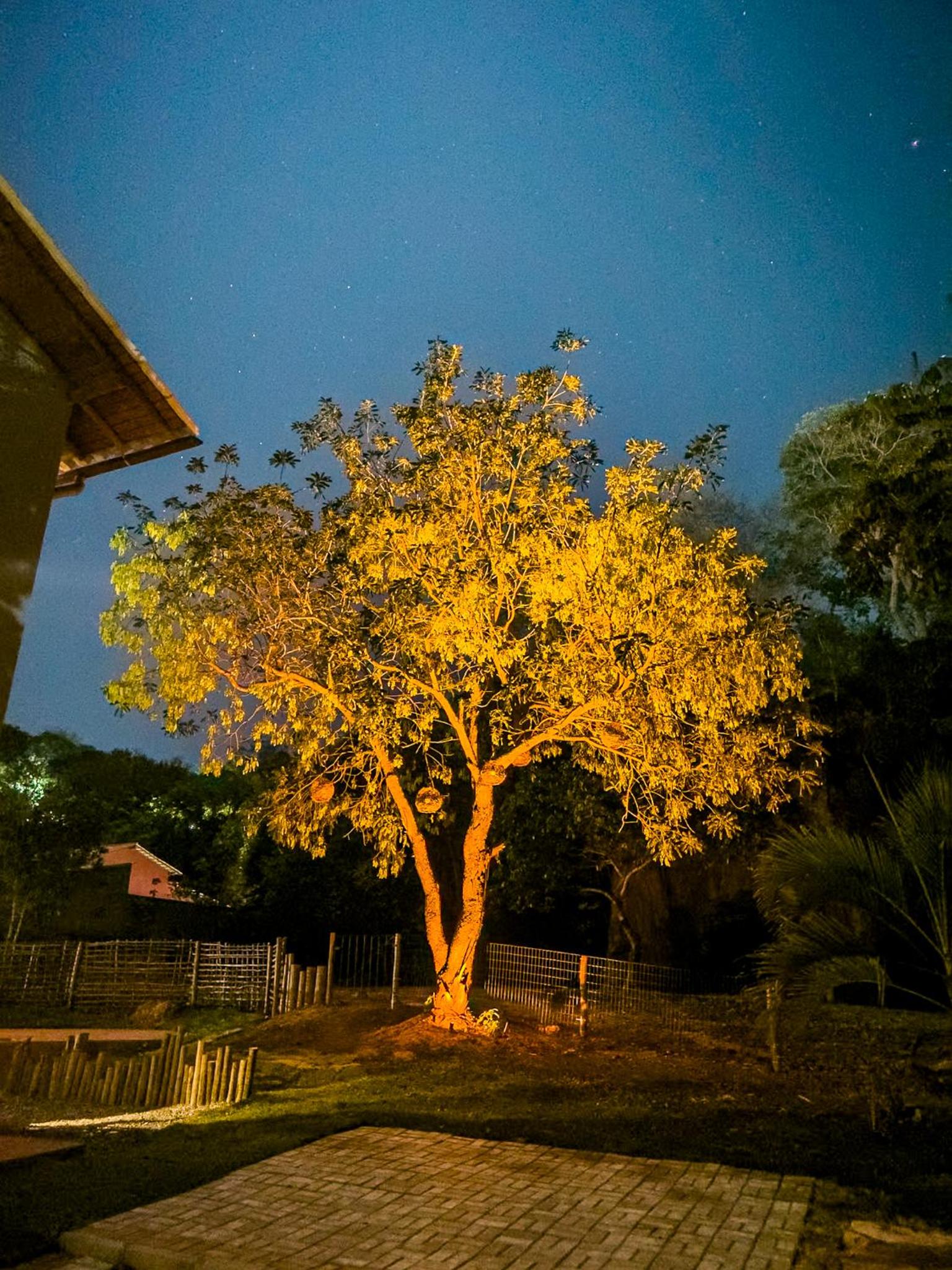 Vila Tanrral