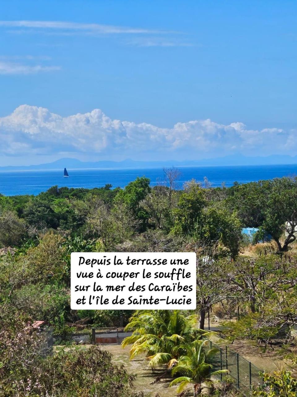 L'Oasis Appartement vue mer des Caraïbes proche des plages view 4