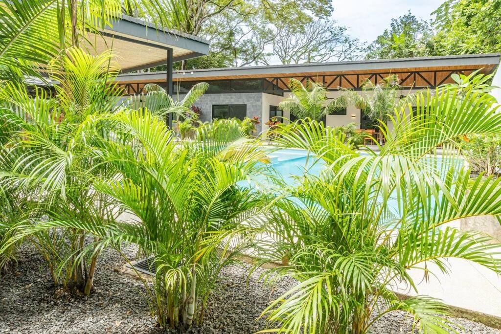 Coco Nosara Villas Guiones Family Resort Casa José