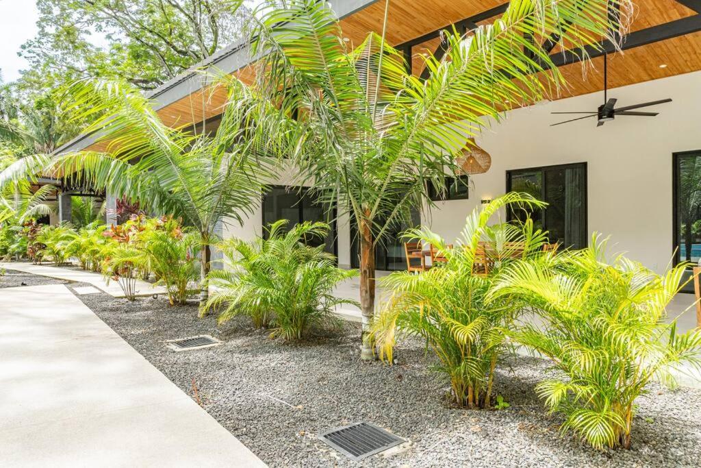 Coco Nosara Villas Guiones Family Resort Casa José