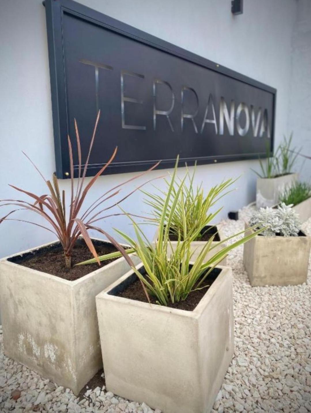Edificio terranova