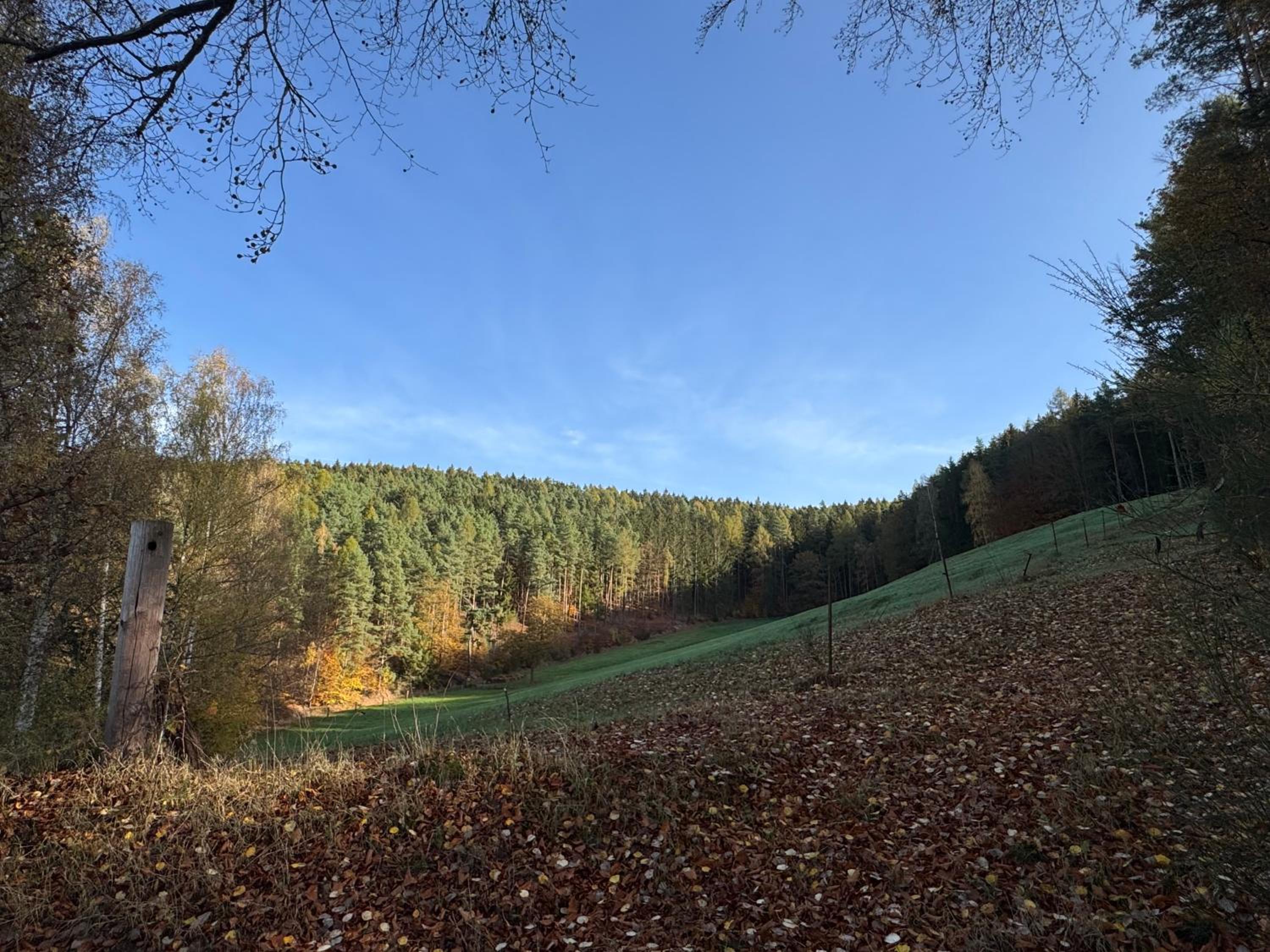 Erholung im Wald - mit Schwimmbad