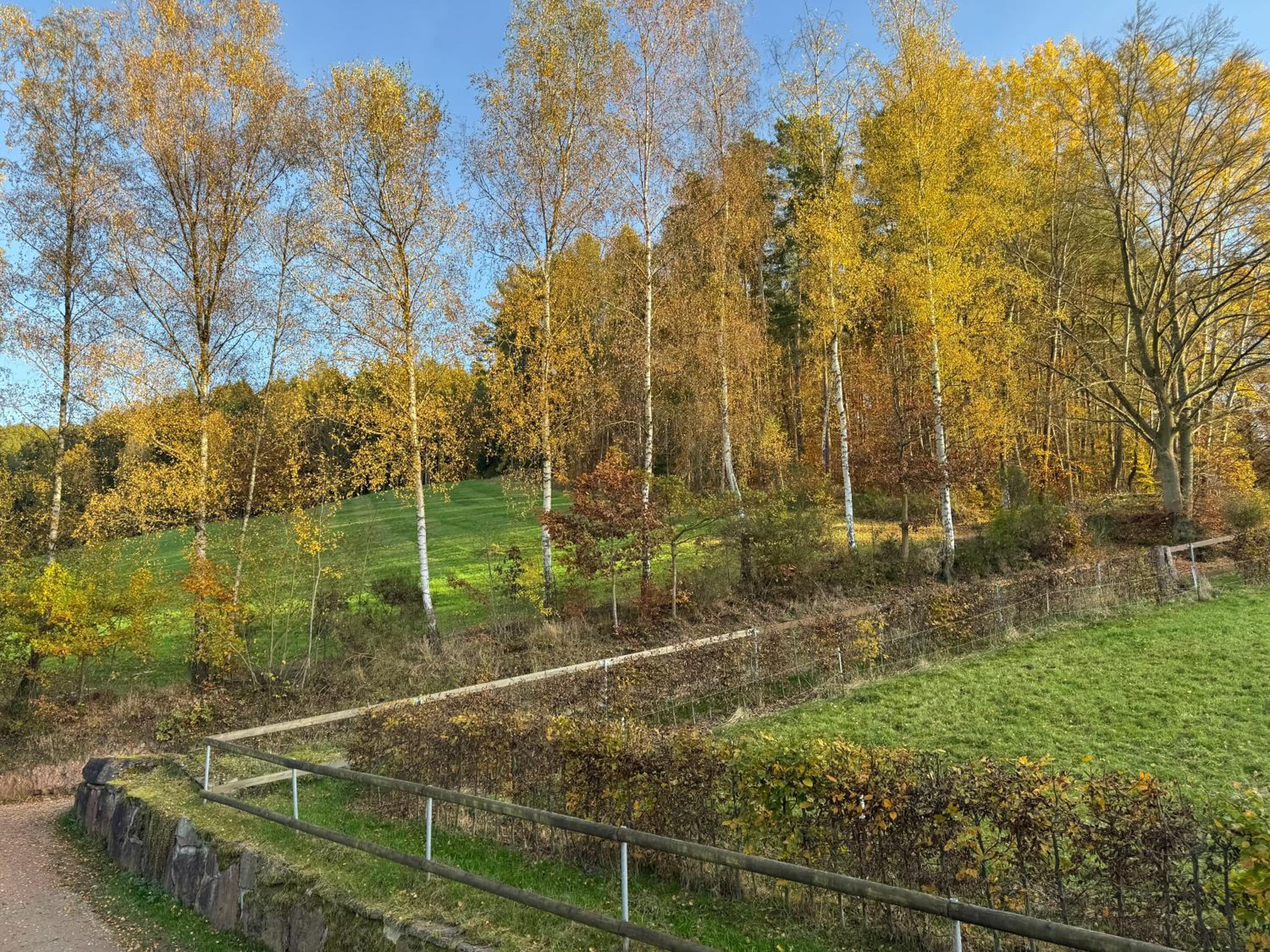Erholung im Wald - mit Schwimmbad