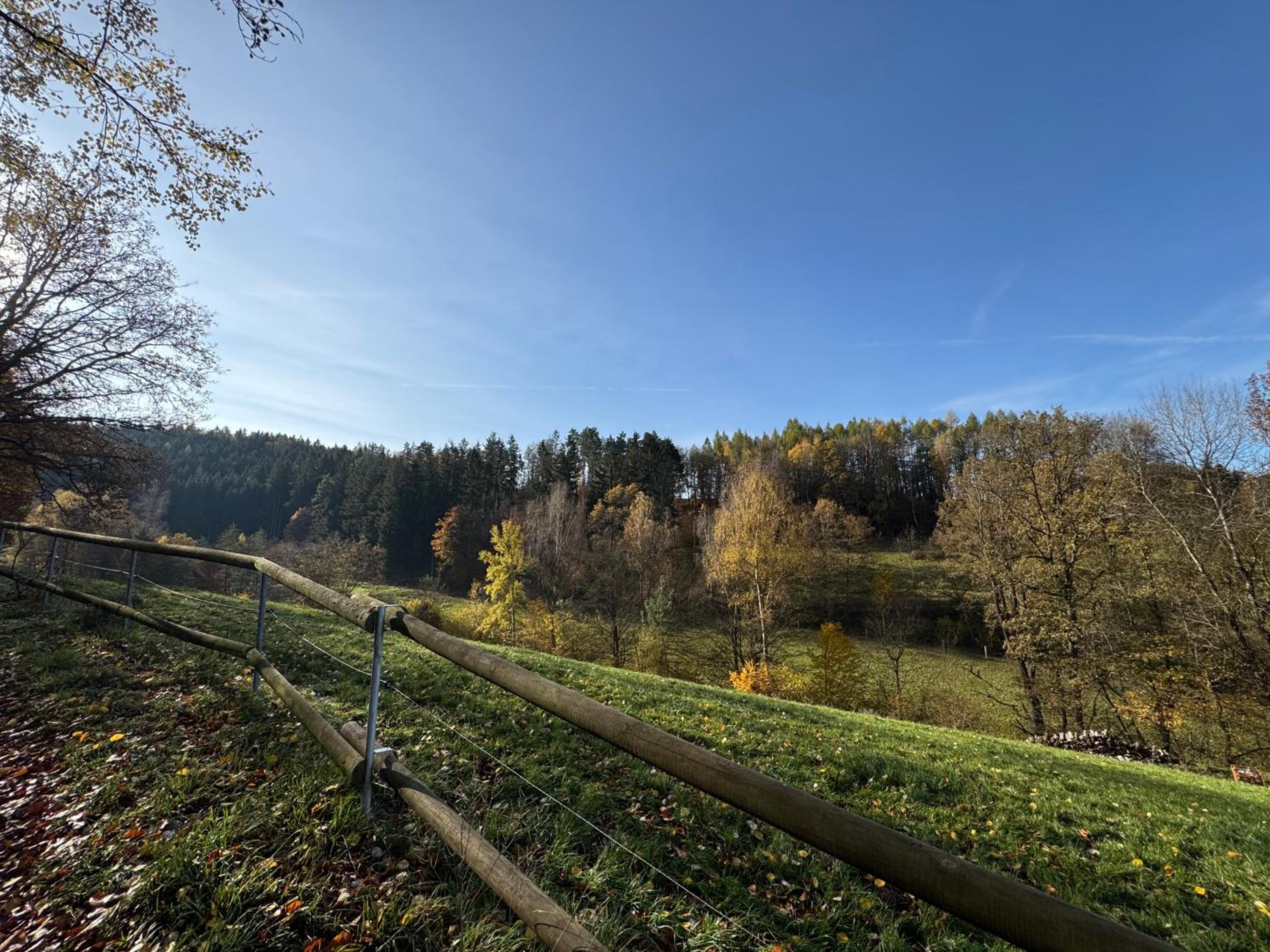 Erholung im Wald - mit Schwimmbad