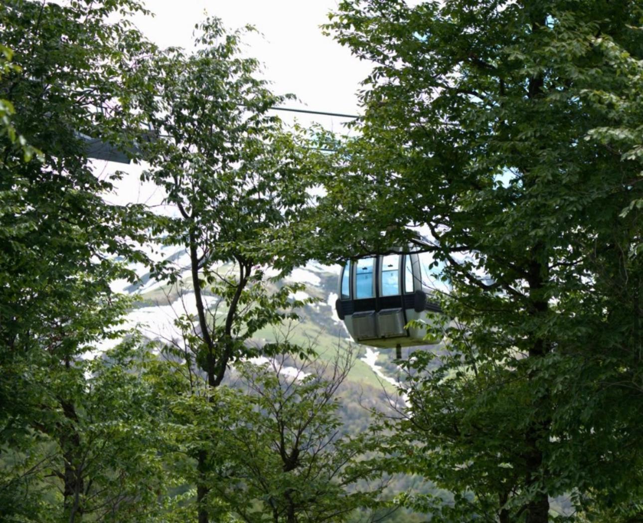 Bakuriani Crystal Loft C