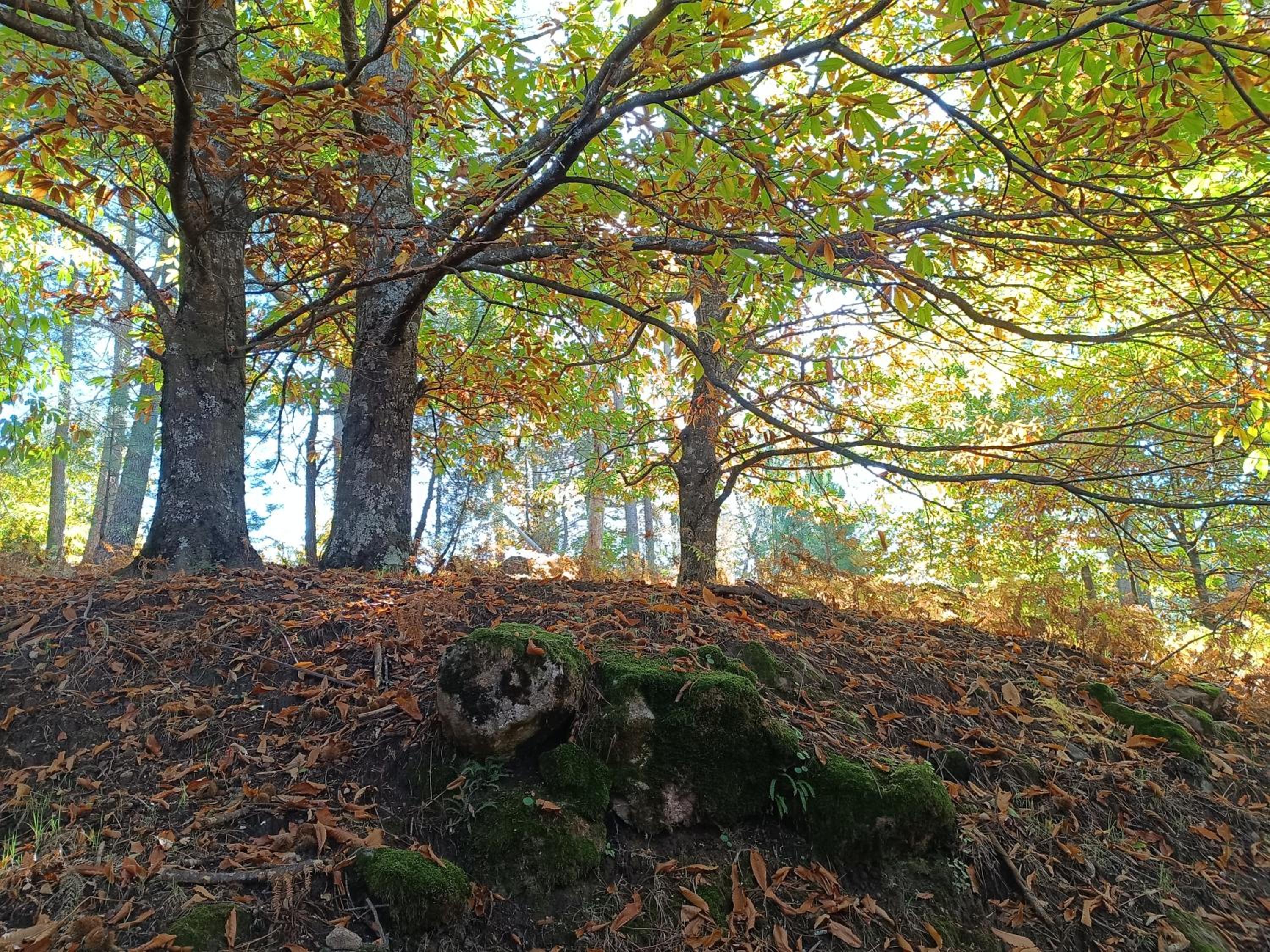 EL BALCÓN PANORÁMICO DE GREDOS