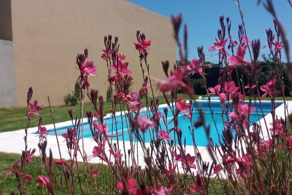 Casa quinta Chivilcoy