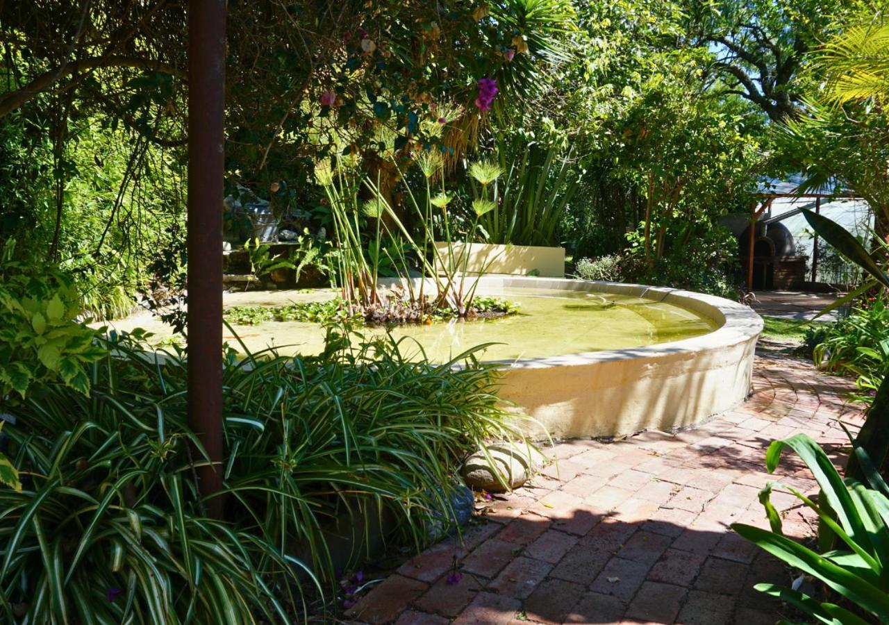 Oasis acogedor en Quito terrazas jardines huerto BBQ wifi estanque