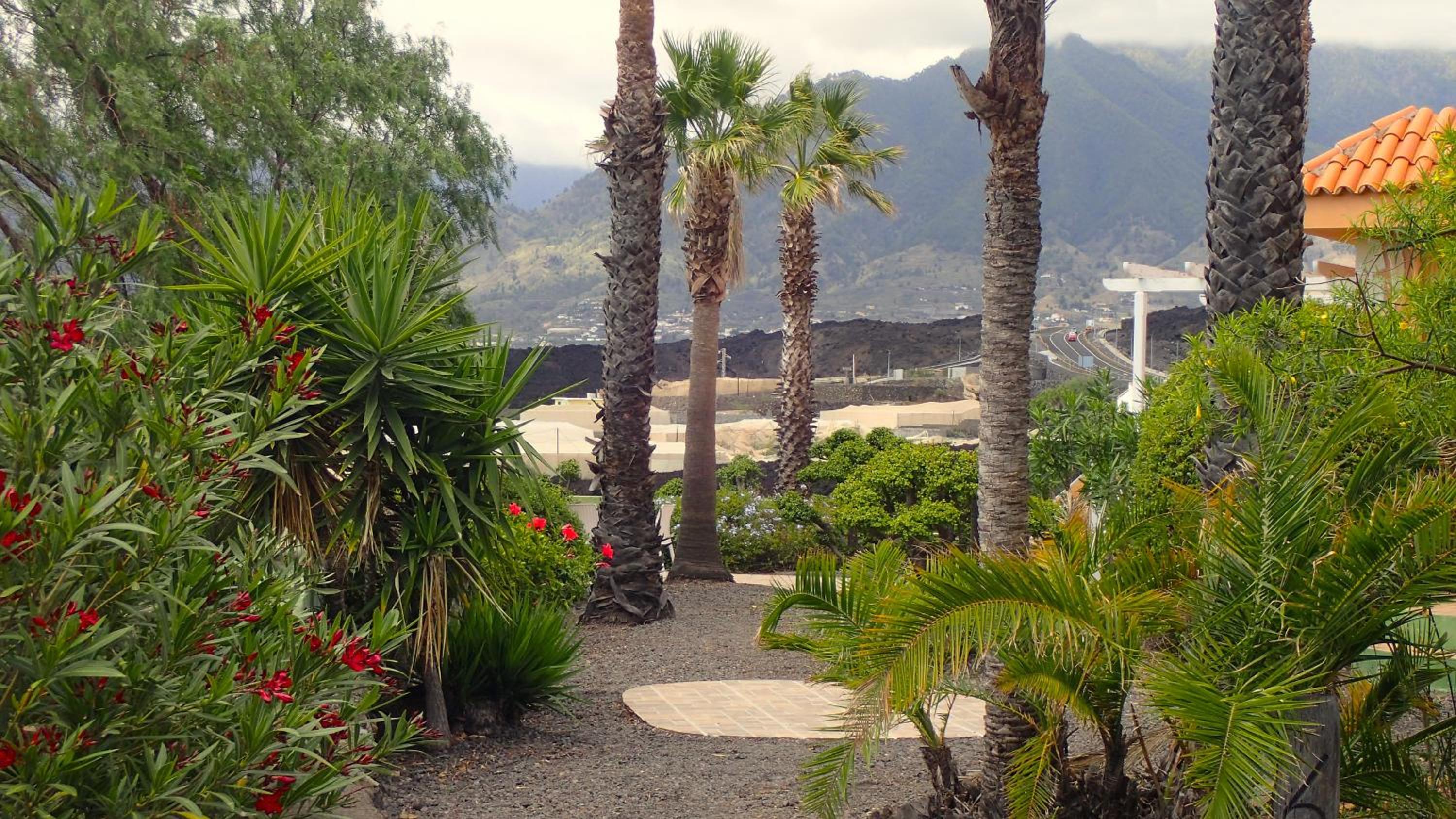 Bungalows El Paradiso