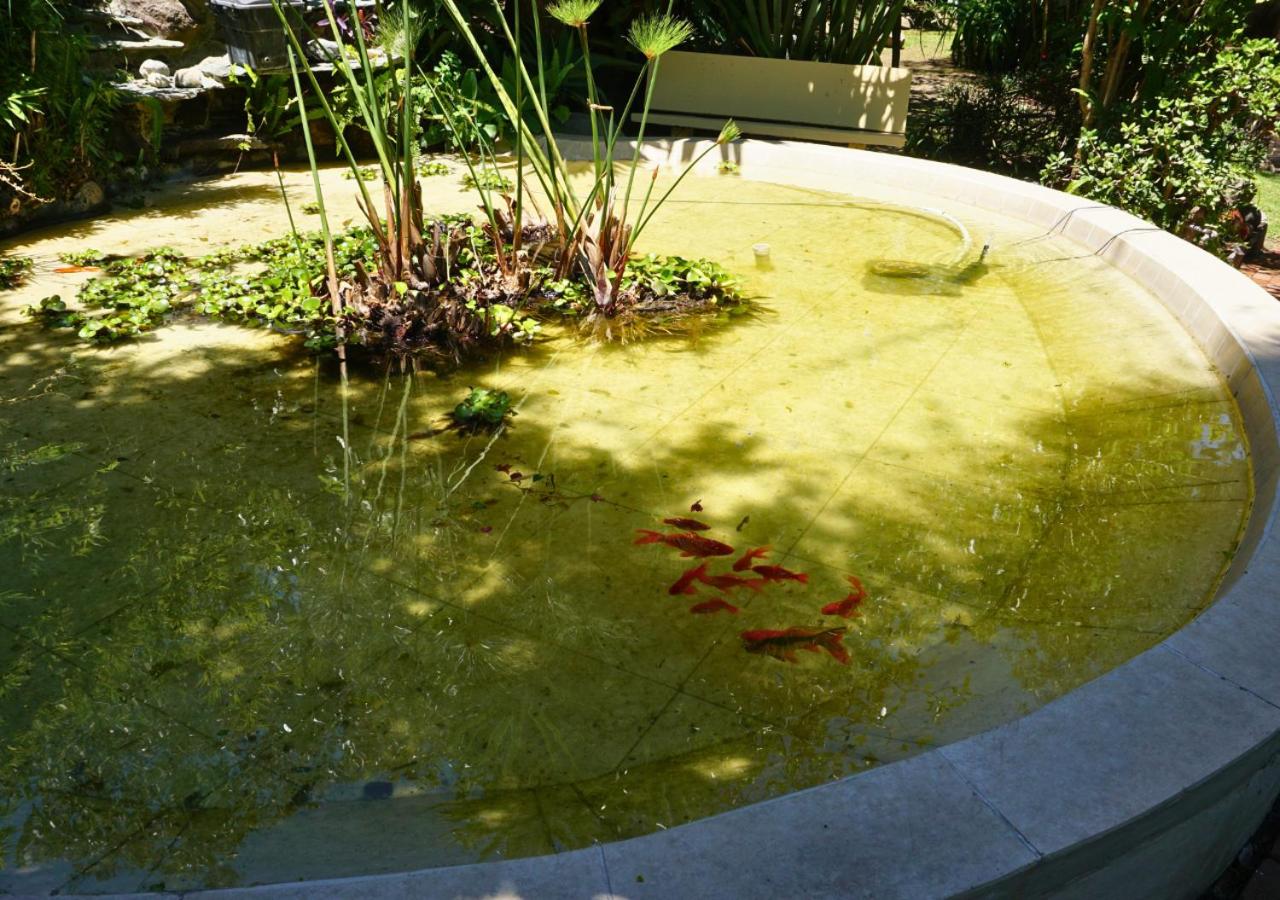 Oasis acogedor en Quito terrazas jardines huerto BBQ wifi estanque
