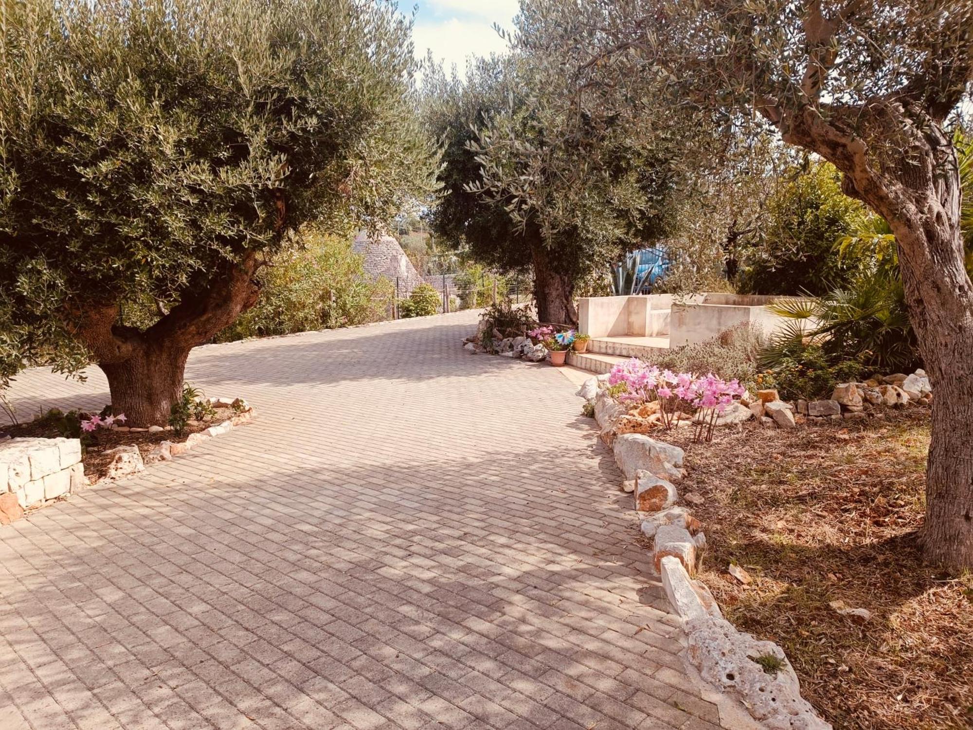 Photo 27