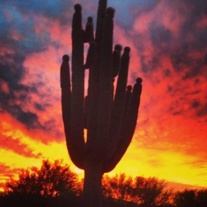 Serene & Secluded - Heart of the Sonoran Desert Bunkhouse Casita