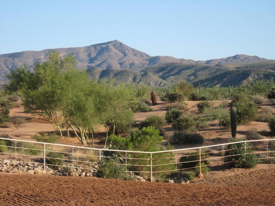 Photo 34
