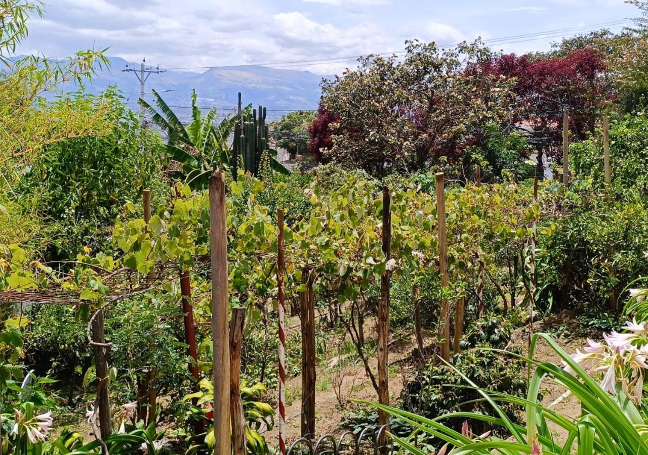 Oasis acogedor en Quito terrazas jardines huerto BBQ wifi estanque