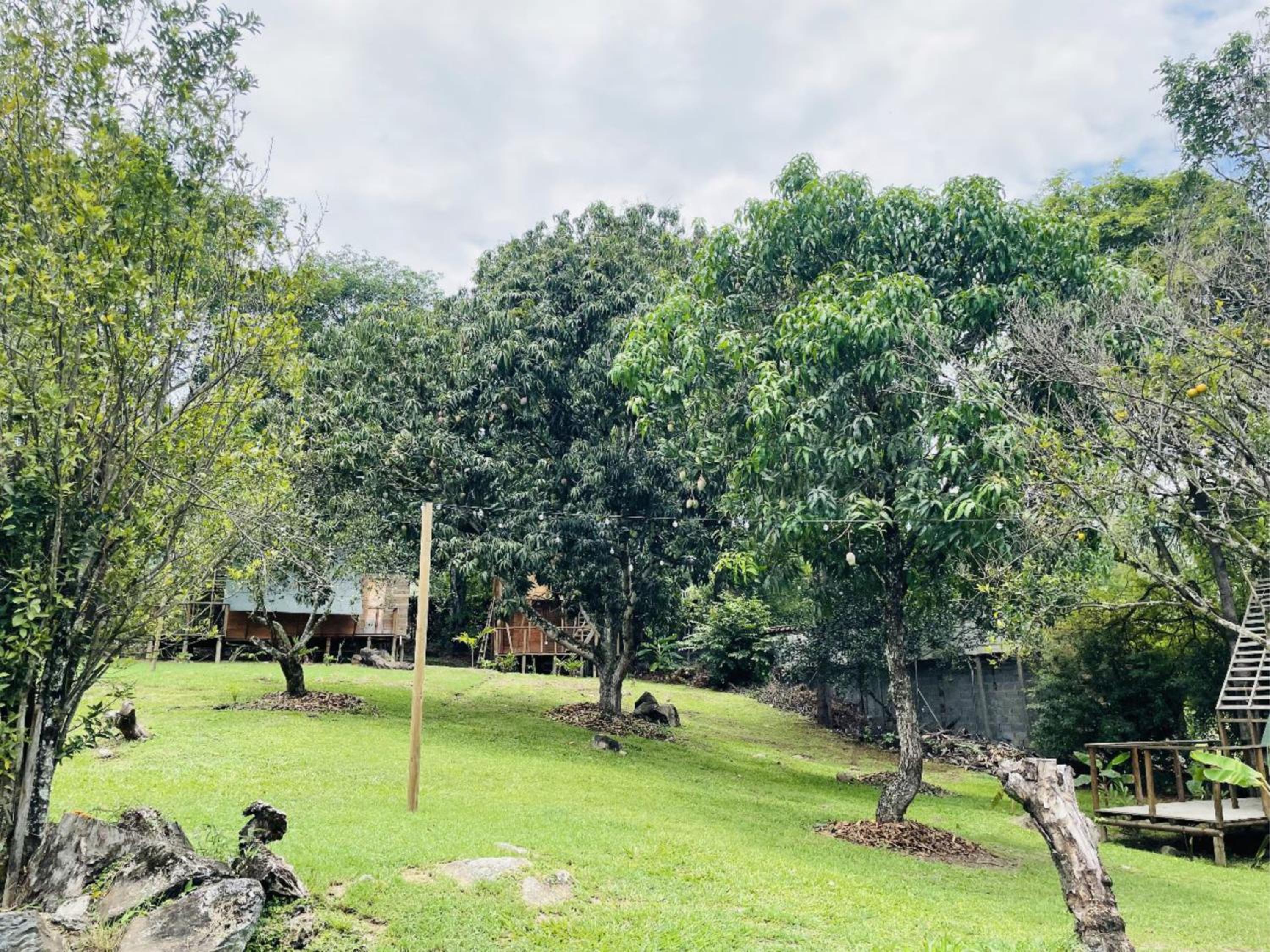 Glamping FULL con acceso a piscina