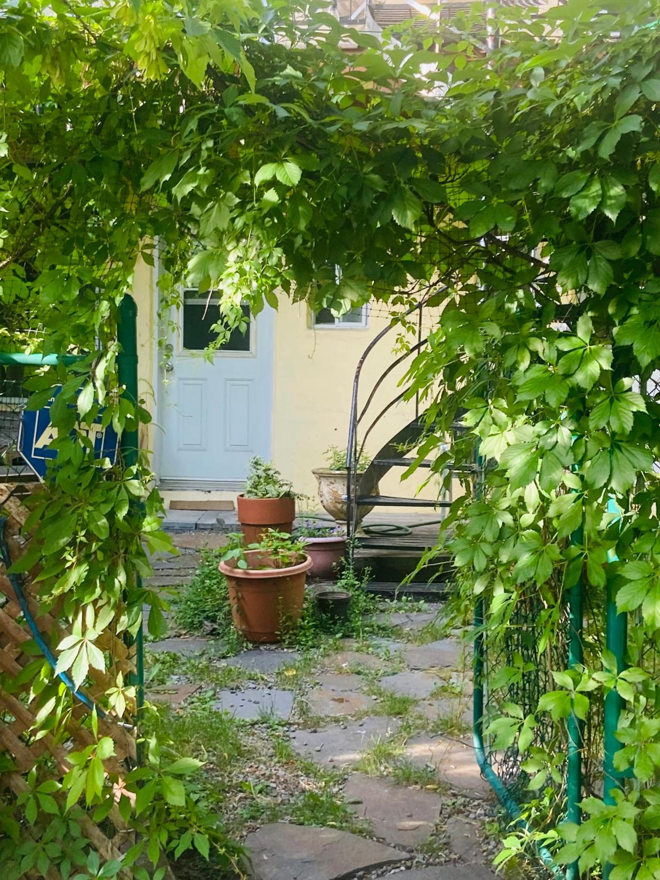 Cozy and Sunny apartment in Little Italy Montreal