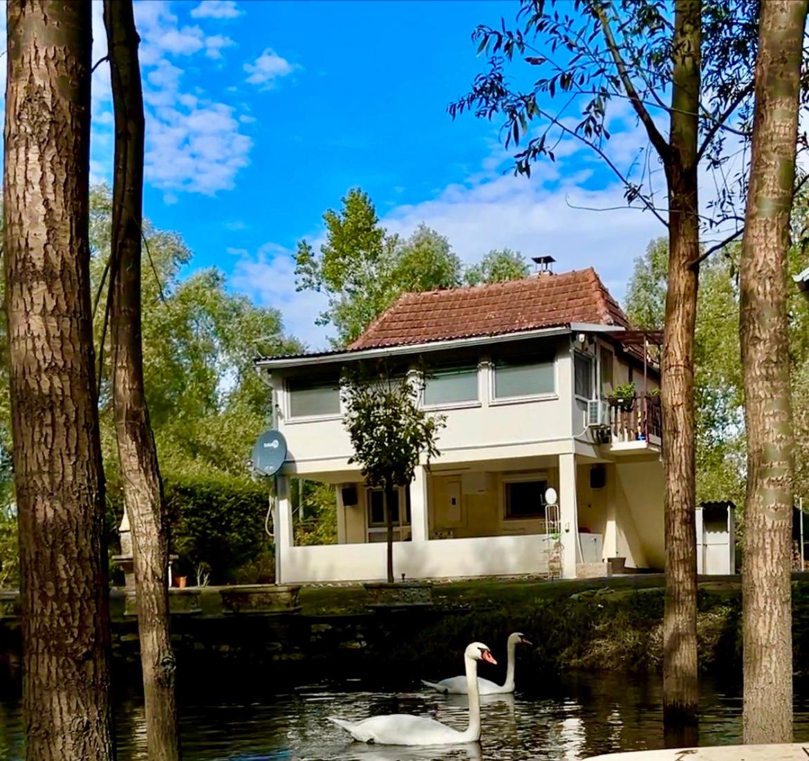 Emily's house