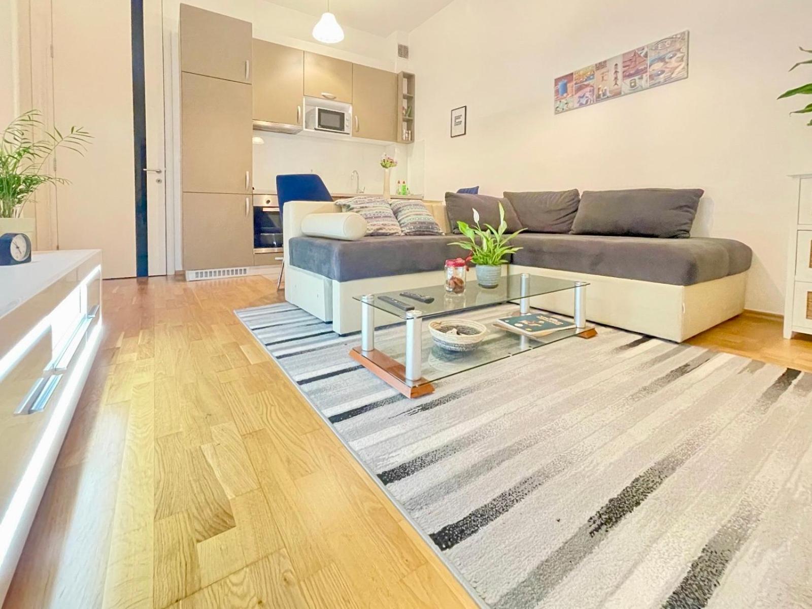 Apartman Centar Lujane