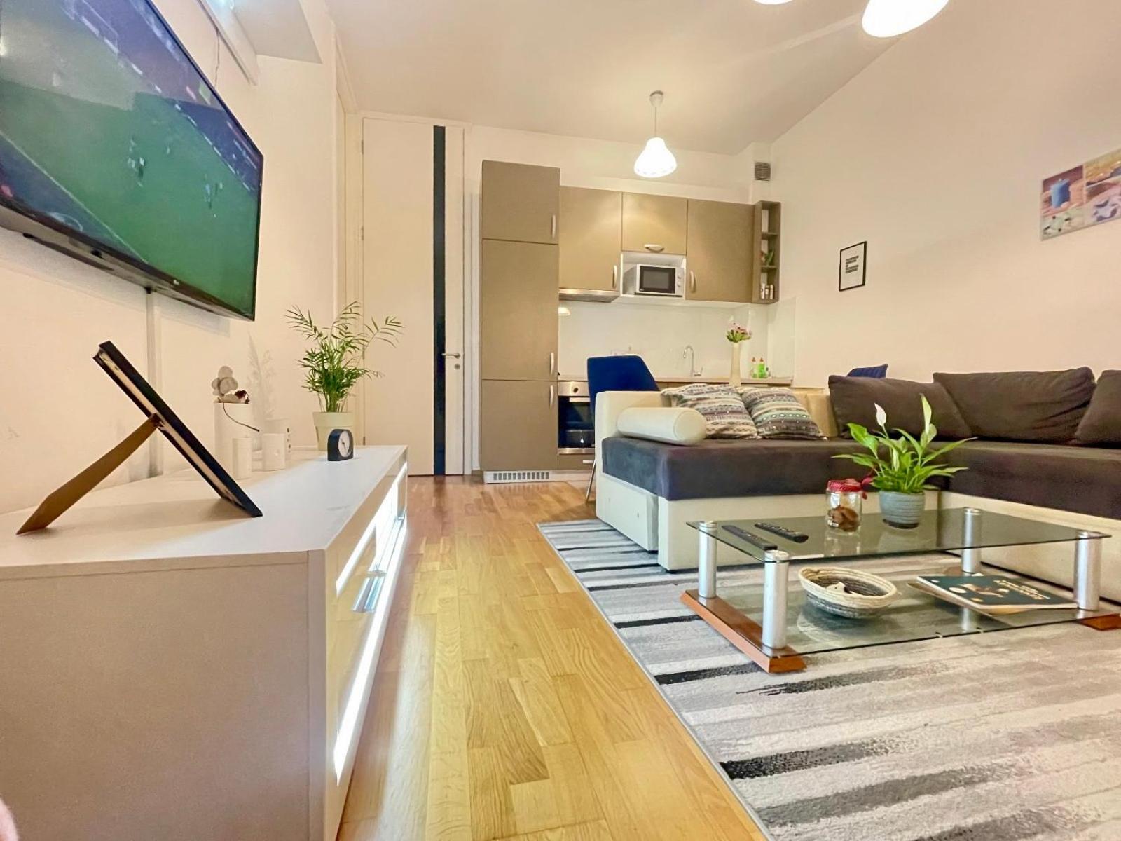 Apartman Centar Lujane