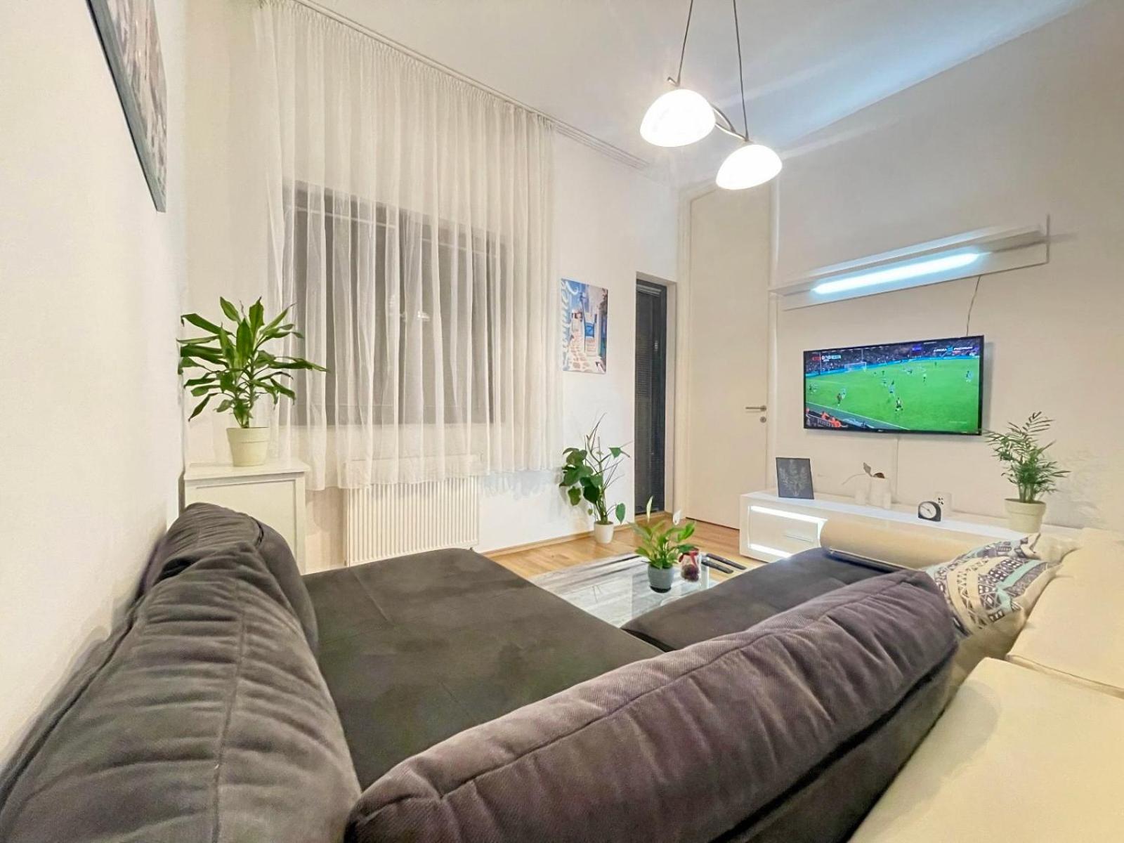 Apartman Centar Lujane