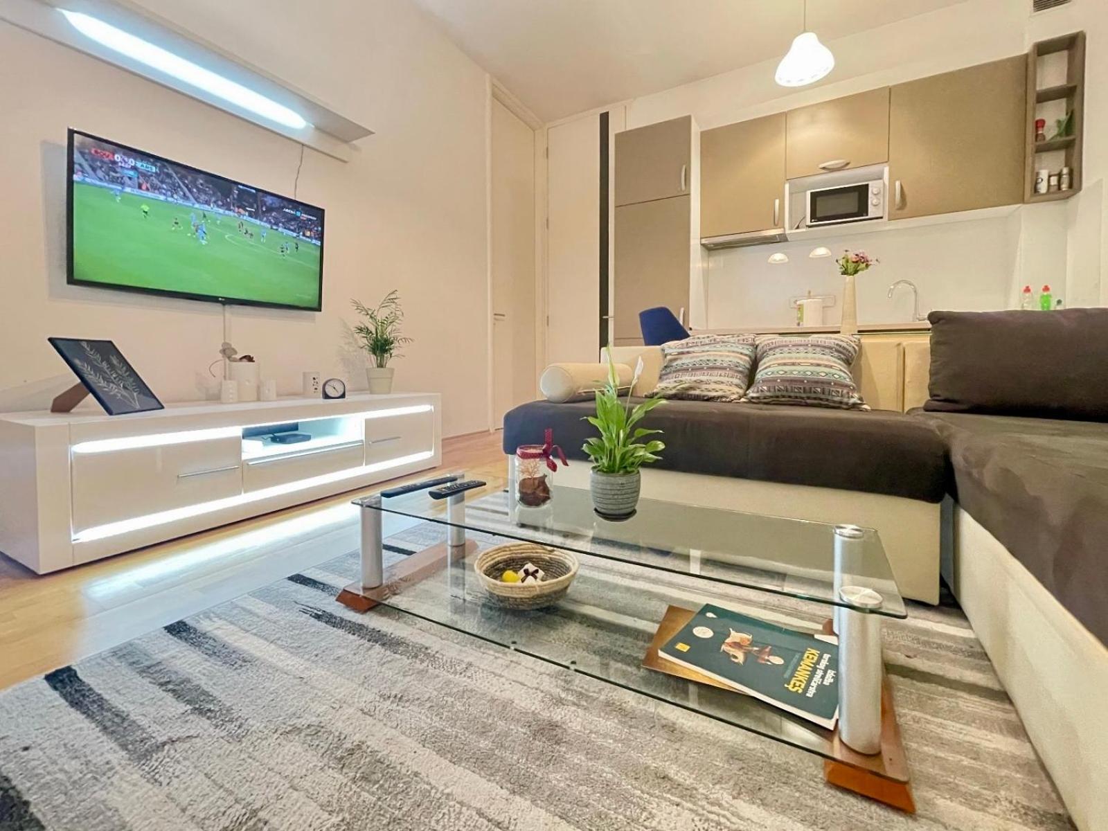 Apartman Centar Lujane