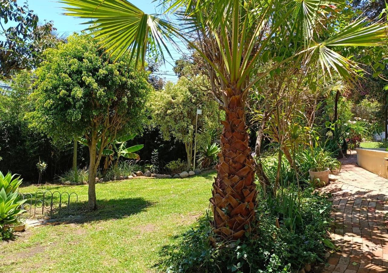 Oasis acogedor en Quito terrazas jardines huerto BBQ wifi estanque