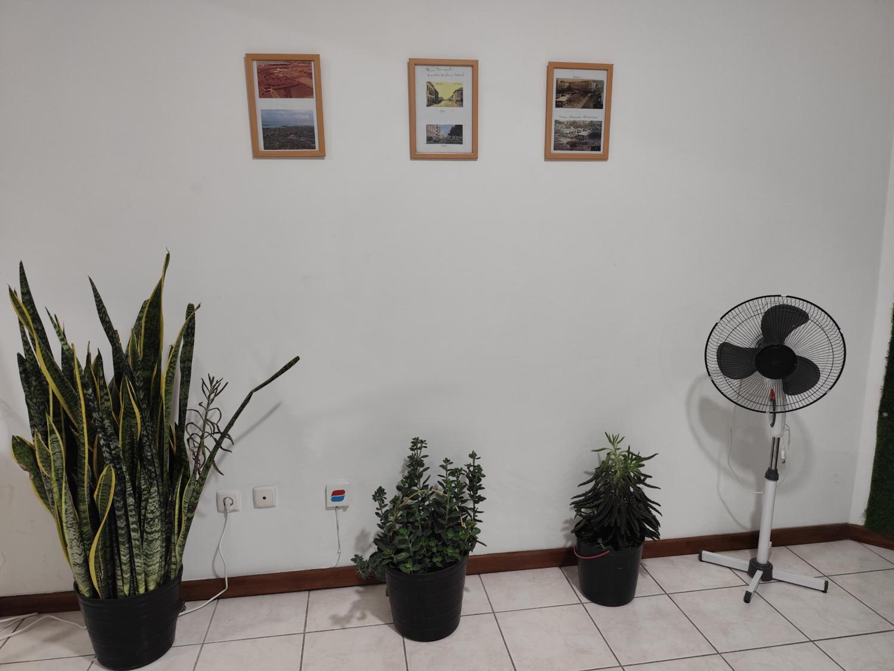 Mendes Family Guesthouse, and Services