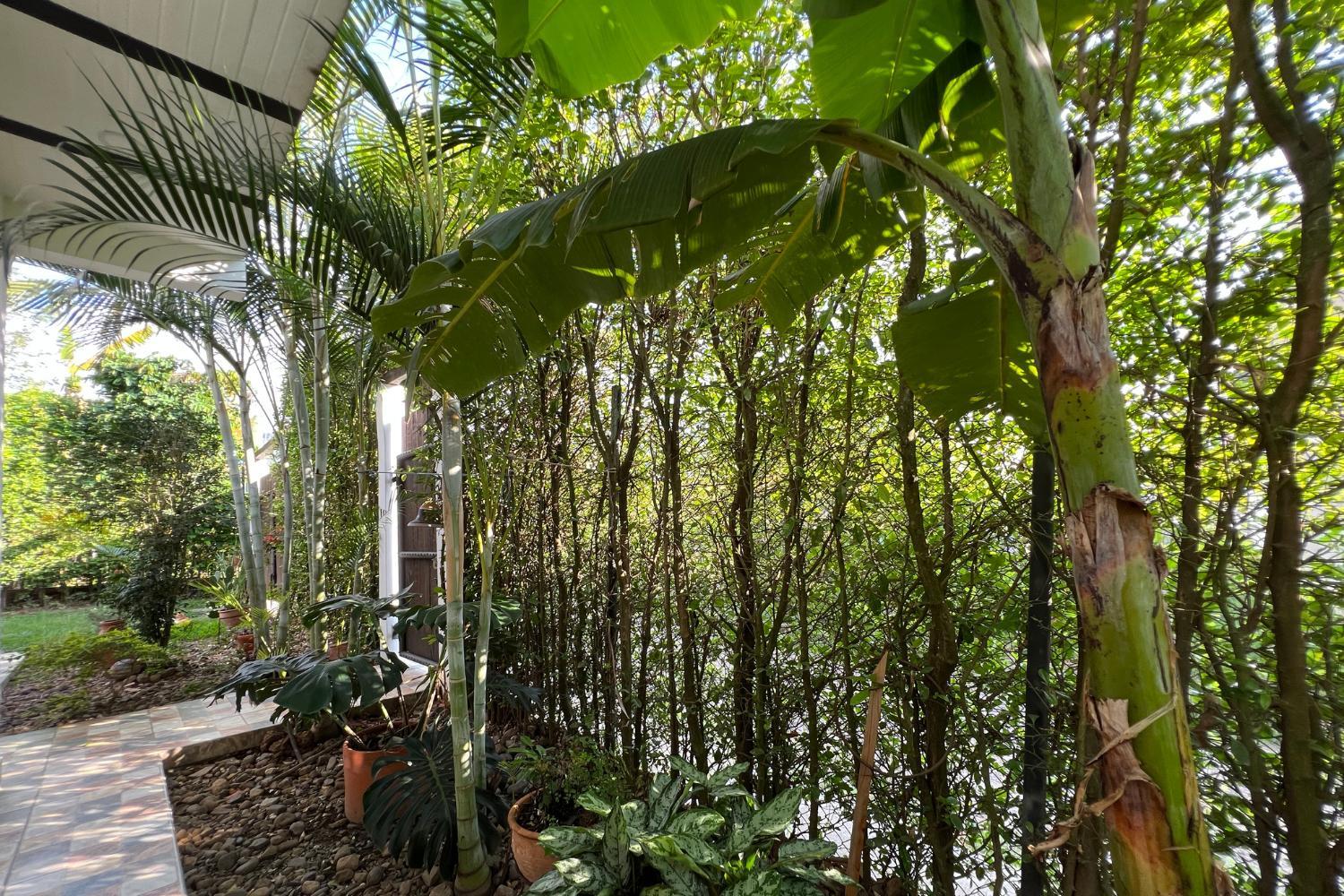 Casa Dornella - Casa de Hospedaje