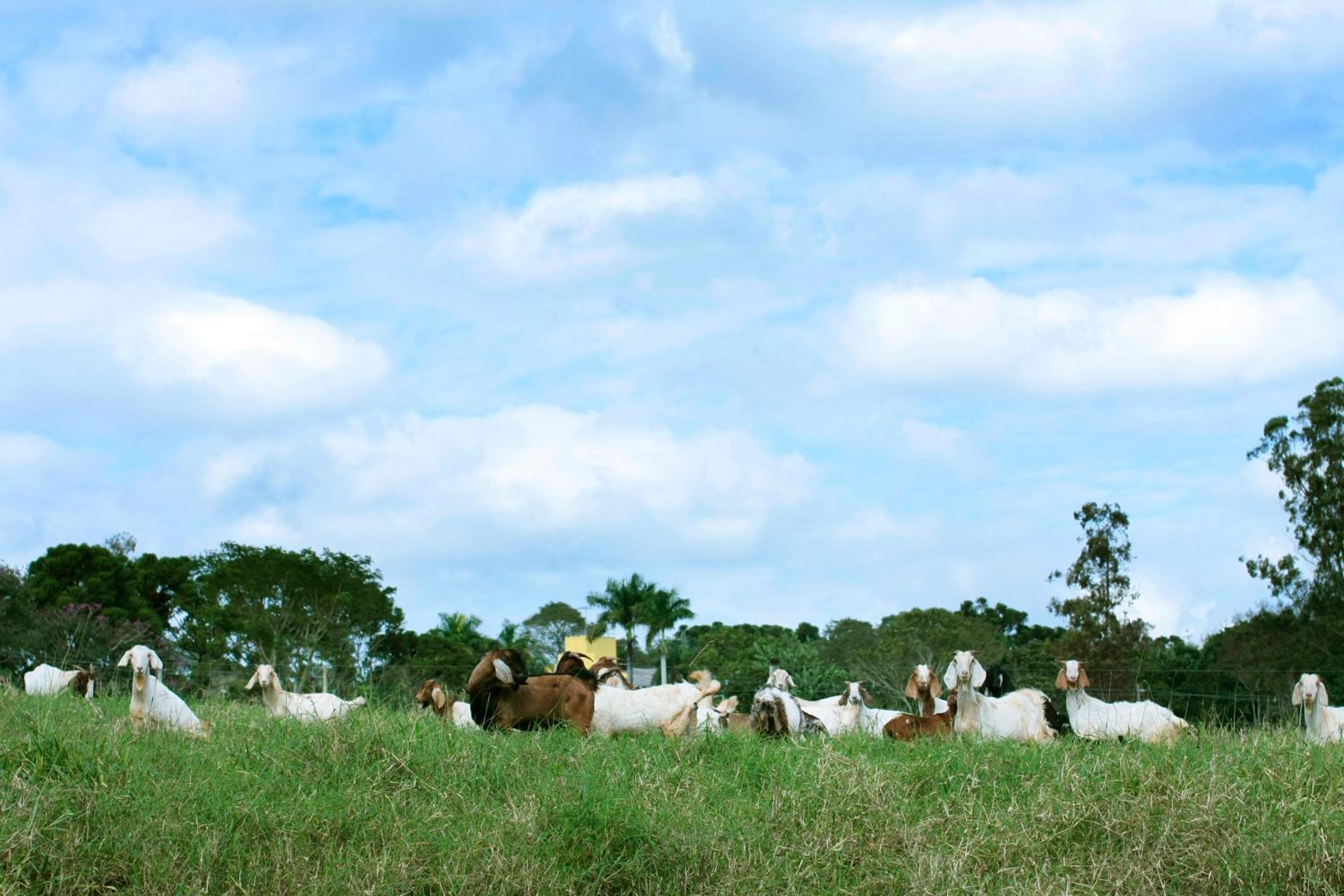 Pousada Guata Porã
