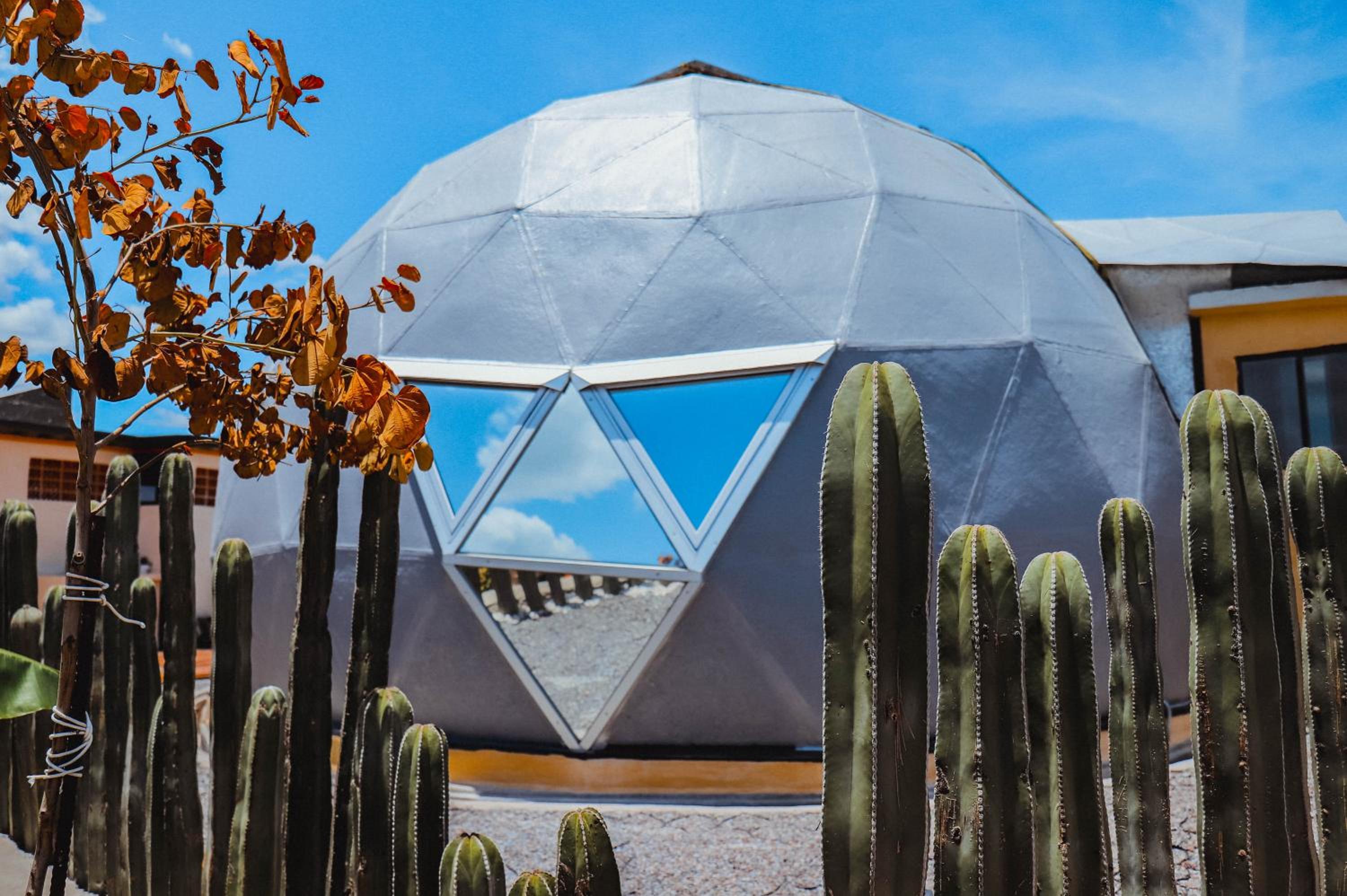 Glamping Espiral