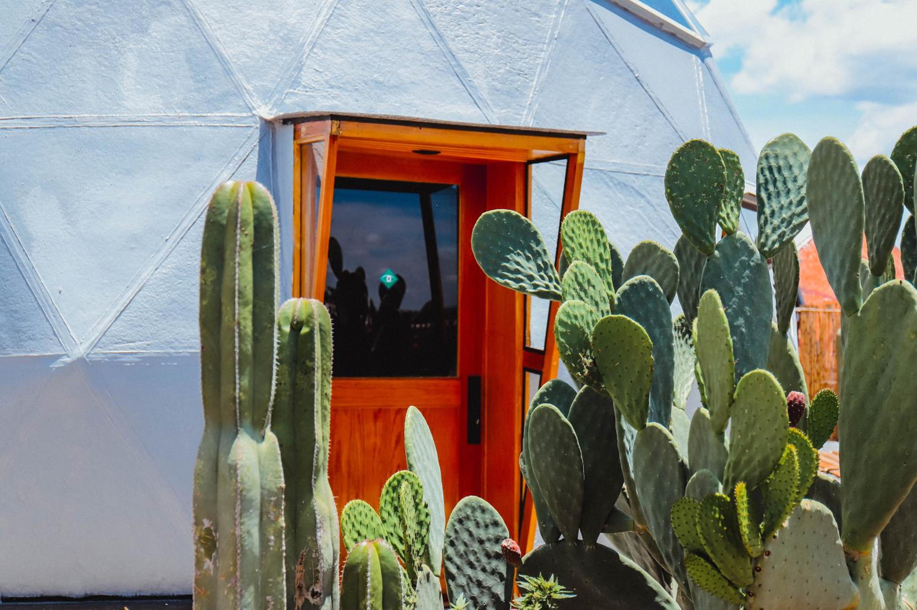 Glamping Espiral