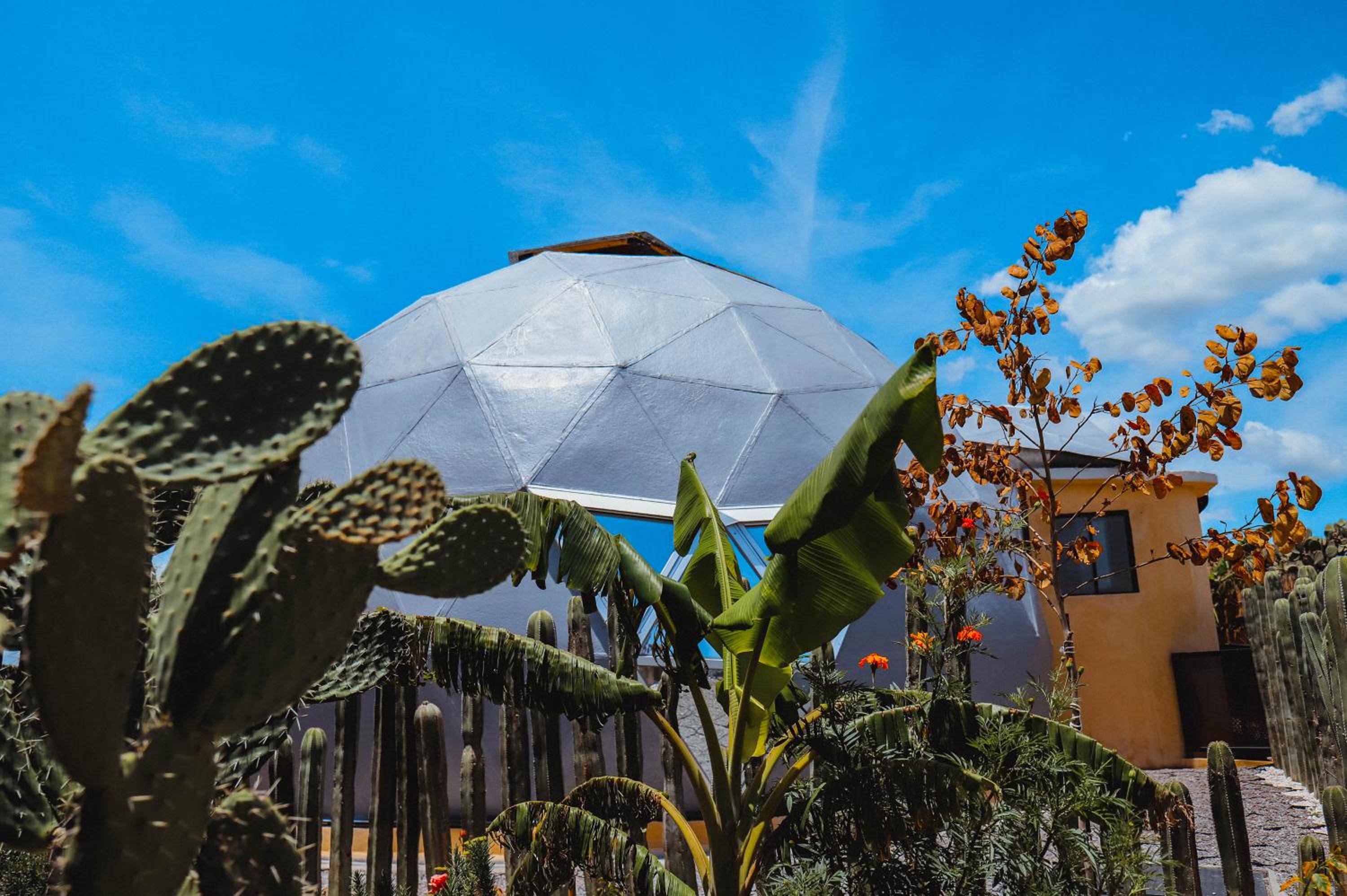 Glamping Espiral